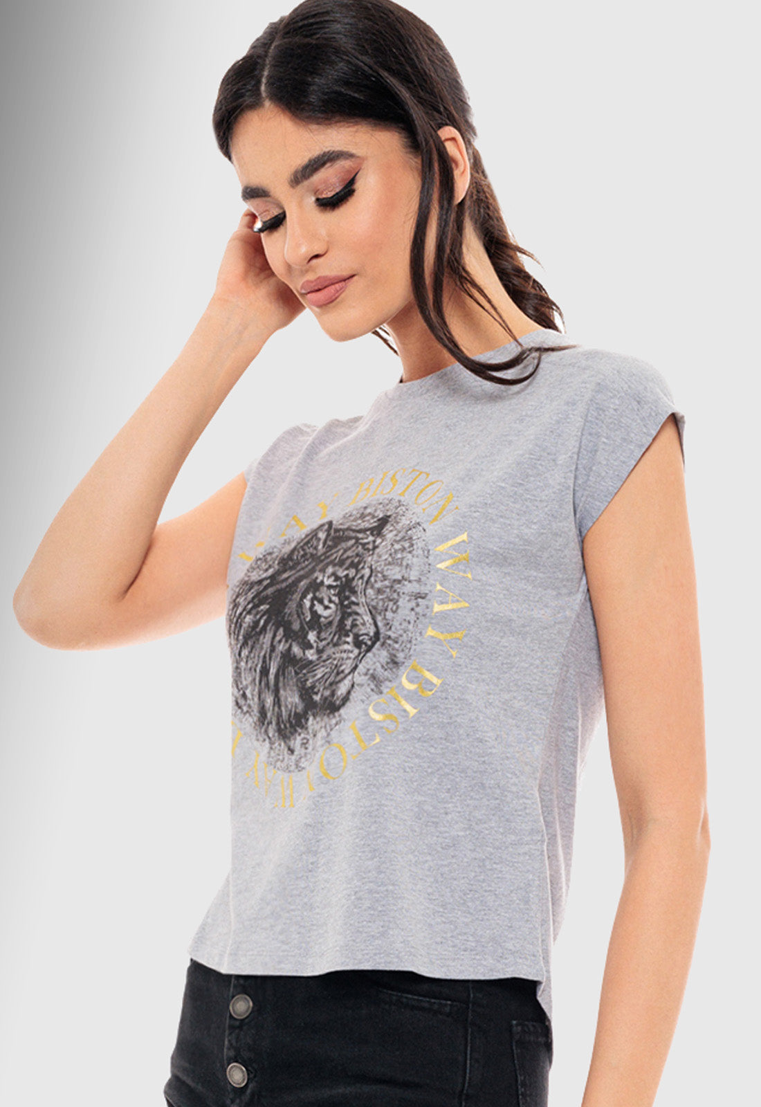 T-SHIRT ΒΑΜΒΑΚΕΡΟ ΜΕ ΤΥΠΩΜΑ "BISTON WAY"-ΓΚΡΙ